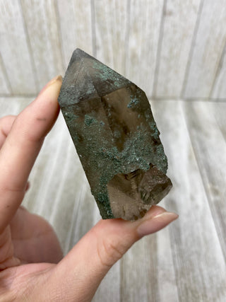 Nirvana Smoky Quartz with Green Chlorite Terminated Point | High-Altitude Himalayan Crystal from Curious Muse Crystals Tagged with chlorite inclusion, clear, green, green Quartz, hand mined crystal, hide-notify-btn, high altitude quartz, High vibration stone, Himalayan Quartz, manifesting Quartz, Nirvana Quartz