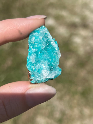 Rosasite with Aurichalcite Raw Specimen | Ojuela Mine, Mexico