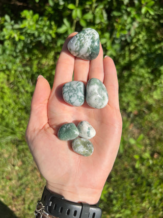 Tree Agate Tumbled Crystal