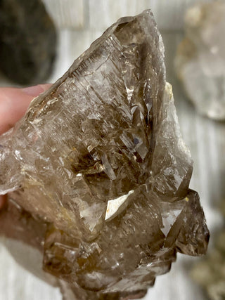 Elestial Smoky Quartz | Minas Gerais, Brazil from Curious Muse Crystals Tagged with Brazilian Quartz, brown, clear, elestial, Elestial Quartz, hide-notify-btn, self healed