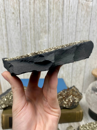 Pyrite on Shungite Raw Layered Plate | Brazil from Curious Muse Crystals Tagged with abundance, black, brazil, cleansing, gold, manifestation, purification, pyrite, shungite