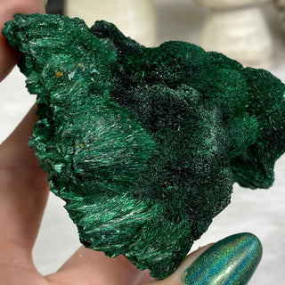 Velvet Malachite Cluster | Fibrous Green Copper Based Crystal from Curious Muse Crystals Tagged with Copper Stone, Crystal Healing, Dark Green Stone, Genuine Crystal, green, Hearth Chakra, hide-notify-btn, Malachite, Manifestation, Mineral Collection, Natural Mineral, Prosperity Wealth, Raw Mineral, Reiki Healing