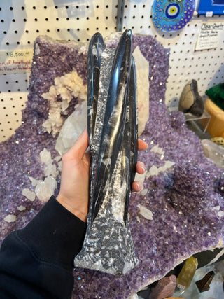 Orthoceras Fossil Statue