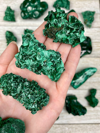Raw Fibrous Malachite Cluster | Green Copper Based Crystal from Curious Muse Crystals Tagged with Copper Stone, Crystal Healing, Dark Green Stone, Genuine Crystal, green, Hearth Chakra, Malachite, Manifestation, Mineral Collection, Natural Mineral, Prosperity Wealth, Raw Mineral, Reiki Healing
