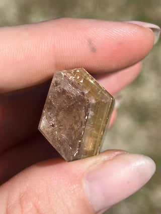 Dreamcoat Lemurian Generator | Polished Brazilian Tower Crystal