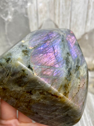 Purple Flash Labradorite Polished Free Form from Curious Muse Crystals Tagged with crystal energy, dark purple lab, full flash lab, hide-notify-btn, Labradorite, psychic protection, purple, reiki healing