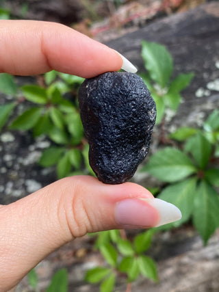 Colombianite 28g Pseudo-Tektite Raw Specimen from Curious Muse Crystals Tagged with black, colombia, colombianite, hide-notify-btn, moldavite, obsidian, reiki healing, space crystal, tektite