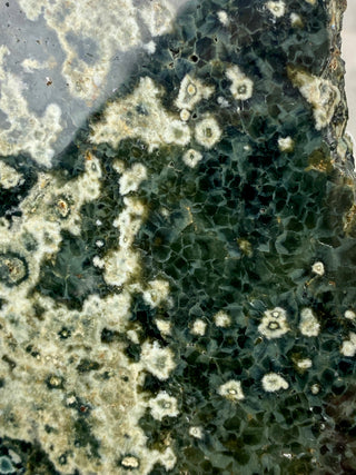 Ocean Jasper Slab from Curious Muse Crystals Tagged with Crystal healing, drusy pocket, hide-notify-btn, jasper, Madagascar mineral, mineral collection, natural mineral, ocean jasper, Orbicular jasper, peace and calming, purple, reiki healing, slab, white
