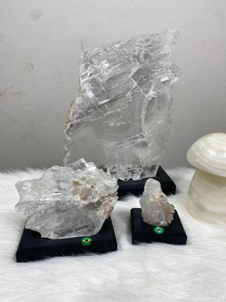 Selenite Raw Specimen on Wood Base | Brazil from Curious Muse Crystals Tagged with brazil, clear, crystal, fine mineral, hide-notify-btn, on stand, raw mineral, raw selenite, selenite