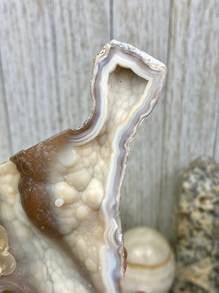 Fossil Agatized Coral Collectors Pair | Tampa Bay, Florida from Curious Muse Crystals Tagged with fine mineral, florida, fossil, Fossil Coral, hide-notify-btn, high grade, orange, raw, red, Tampa Bay, USA, white