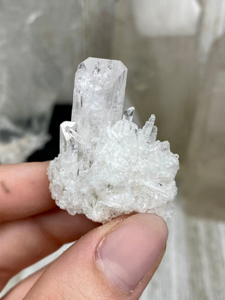 Danburite Raw Crystal Cluster Self Standing | Caracas, Mexico from Curious Muse Crystals Tagged with clear, crown chakra, Crystal healing, danburite, hide-notify-btn, pink, raw, raw crystal