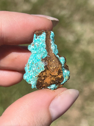 Rosasite with Aurichalcite Raw Specimen | Ojuela Mine, Mexico