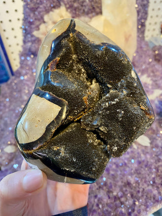 Septarian Cut Base Nodule | Madagascar from Curious Muse Crystals Tagged with aragonite, brown, calcite, limestone, Septarian, uv reactive, yellow