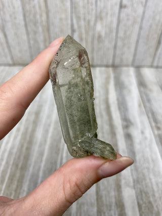 Nirvana Quartz Double Termination with Green Chlorite | High-Altitude Himalayan Crystal from Curious Muse Crystals Tagged with chlorite inclusion, clear, green, green Quartz, hand mined crystal, hide-notify-btn, high altitude quartz, High vibration stone, Himalayan Quartz, manifesting Quartz, Nirvana Quartz