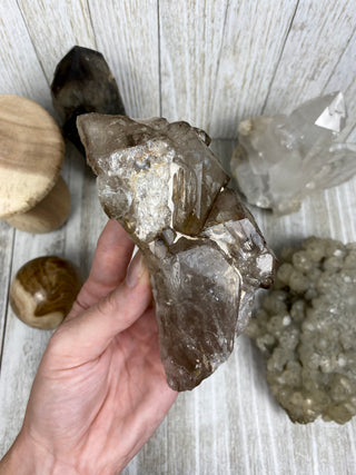 Elestial Smoky Quartz | Minas Gerais, Brazil from Curious Muse Crystals Tagged with Brazilian Quartz, brown, clear, elestial, Elestial Quartz, hide-notify-btn, self healed