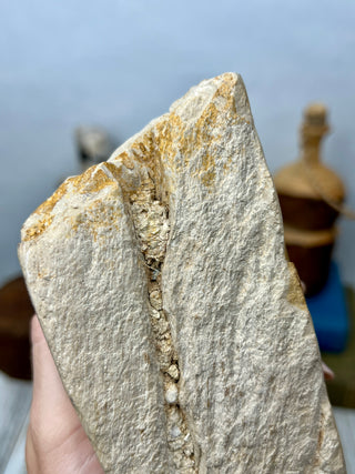 Petrified Wood Raw Display Piece