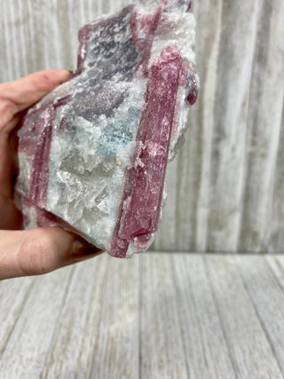 Pink Tourmaline in Albite with Lepidolite | Brazil from Curious Muse Crystals Tagged with Albite, brazil, hide-notify-btn, lepidolite, lithium, pink, raw, rubellite, tourmaline
