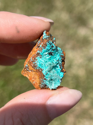 Rosasite with Aurichalcite Raw Specimen | Ojuela Mine, Mexico