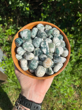 Tree Agate Tumbled Crystal