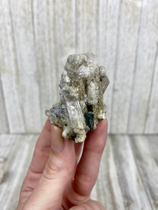 Danburite Raw Crystal Cluster with Chalcopyrite | Caracas, Mexico from Curious Muse Crystals Tagged with clear, crown chakra, Crystal healing, danburite, hide-notify-btn, pink, raw, raw crystal