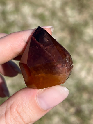 Dreamcoat Lemurian Generator | Polished Brazilian Tower Crystal