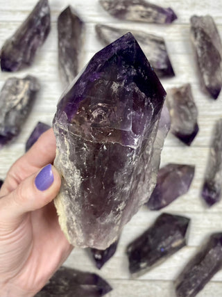Amethyst Semi-Polished Root | Brazil from Curious Muse Crystals Tagged with amethyst, dark purple amethyst, purple, purple crystal, purple Quartz, raw