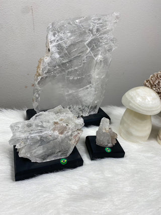 Selenite Raw Specimen Large on Wood Base | Brazil from Curious Muse Crystals Tagged with brazil, clear, crystal, fine mineral, hide-notify-btn, on stand, raw mineral, raw selenite, selenite