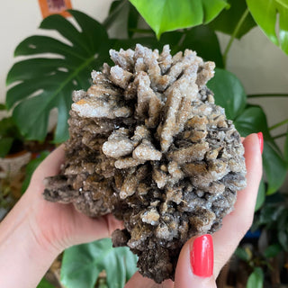 Chocolate Dogtooth Calcite with Hematite inclusions from Santa Eulalia, Mexico