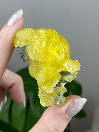 Yellow Brucite - High Grade Collector Mineral - Pakistan