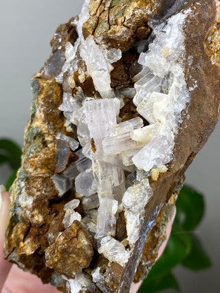 Lavender Aragonite Cave Cluster | Morocco