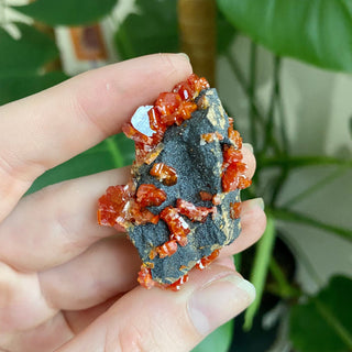 Vanadinite Cluster - Creativity & Energy