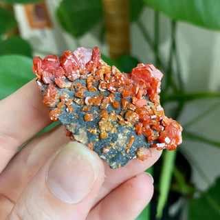 Vanadinite Cluster - Creativity & Energy