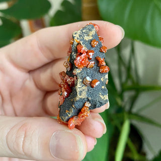 Vanadinite Cluster - Creativity & Energy