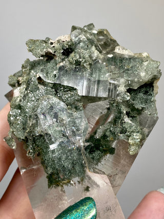Nirvana Quartz Cluster with Green Chlorite Phantoms | High-Altitude Himalayan Crystal