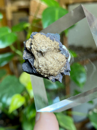 Olmiite on Manganite - Collector Mineral from N'Chwaning Mine, South Africa