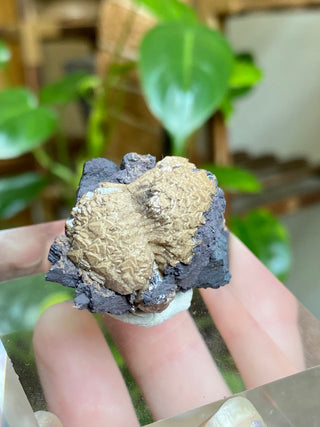 Olmiite on Manganite - Collector Mineral from N'Chwaning Mine, South Africa