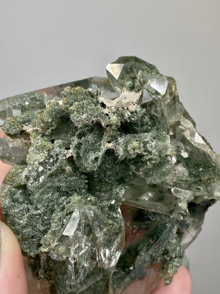 Nirvana Quartz Cluster with Green Chlorite Phantoms | High-Altitude Himalayan Crystal