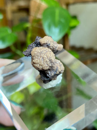 Olmiite on Manganite - Collector Mineral from N'Chwaning Mine, South Africa