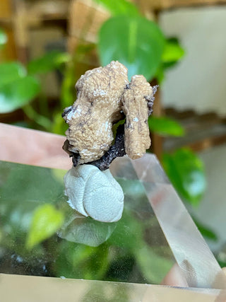 Olmiite on Manganite - Collector Mineral from N'Chwaning Mine, South Africa