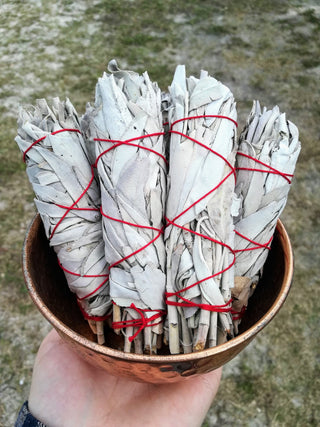 White Sage Bundle - Smoke Cleansing from Curious Muse Crystals for 4.0. Tagged with burnables, Natural incense, Smoke cleansing, white sage stick