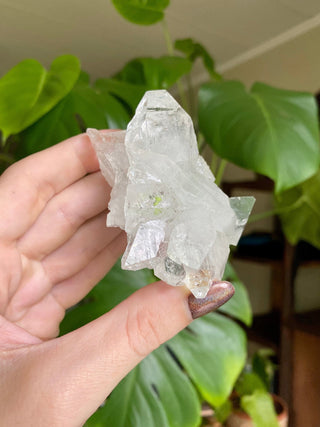 Glassy Clear Fluorapophyllite Termination Cluster | Old Stock 1980’s from Curious Muse Crystals Tagged with apophyllite, clear, Crystal healing, fine mineral, genuine crystal, hide-notify-btn, natural mineral, raw mineral, reiki crystal, zeolite