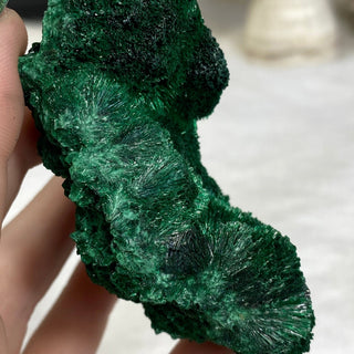 Velvet Malachite Cluster | Fibrous Green Copper Based Crystal from Curious Muse Crystals for 68. Tagged with Copper Stone, Crystal Healing, Dark Green Stone, Genuine Crystal, Hearth Chakra, hide-notify-btn, Malachite, Manifestation, Mineral Collectio