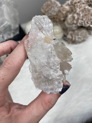 Selenite Raw Specimen on Wood Base | Brazil from Curious Muse Crystals for 35. Tagged with bracelet, brazil, clear, crystal, hide-notify-btn, on stand, raw mineral, raw selenite, selenite