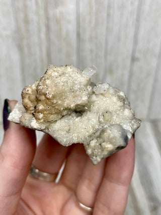 Calcite with Chalcopyrite | Cozamin Mine, Zacatecas, Mexico from Curious Muse Crystals Tagged with calcite, chalcopyrite, clear, fine mineral, gold, hide-notify-btn, mexico, raw