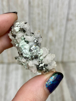 Calcite with Chalcopyrite | Cozamin Mine, Zacatecas, Mexico from Curious Muse Crystals Tagged with calcite, chalcopyrite, clear, fine mineral, gold, mexico, raw