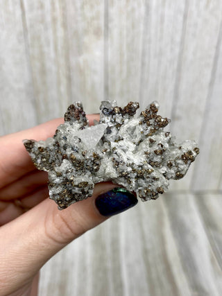 Calcite with Chalcopyrite | Cozamin Mine, Zacatecas, Mexico from Curious Muse Crystals Tagged with calcite, chalcopyrite, clear, fine mineral, gold, mexico, raw