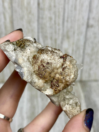 Calcite with Chalcopyrite | Cozamin Mine, Zacatecas, Mexico from Curious Muse Crystals Tagged with calcite, chalcopyrite, clear, fine mineral, gold, hide-notify-btn, mexico, raw