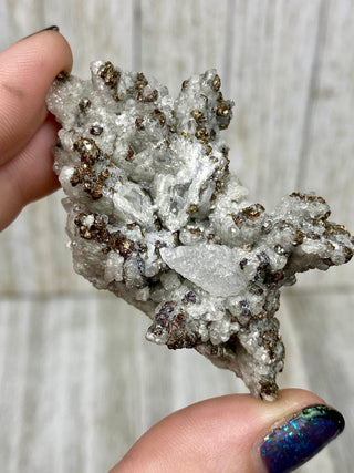 Calcite with Chalcopyrite | Cozamin Mine, Zacatecas, Mexico from Curious Muse Crystals Tagged with calcite, chalcopyrite, clear, fine mineral, gold, mexico, raw