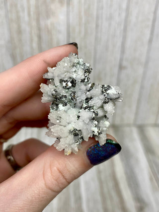 Calcite with Chalcopyrite | Cozamin Mine, Zacatecas, Mexico from Curious Muse Crystals Tagged with calcite, chalcopyrite, clear, fine mineral, gold, mexico, raw