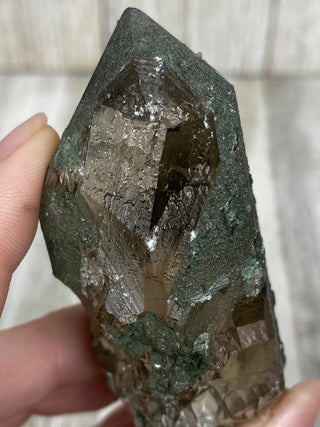 Nirvana Smoky Quartz with Green Chlorite Terminated Point | High-Altitude Himalayan Crystal from Curious Muse Crystals Tagged with chlorite inclusion, clear, green, green Quartz, hand mined crystal, hide-notify-btn, high altitude quartz, High vibrati